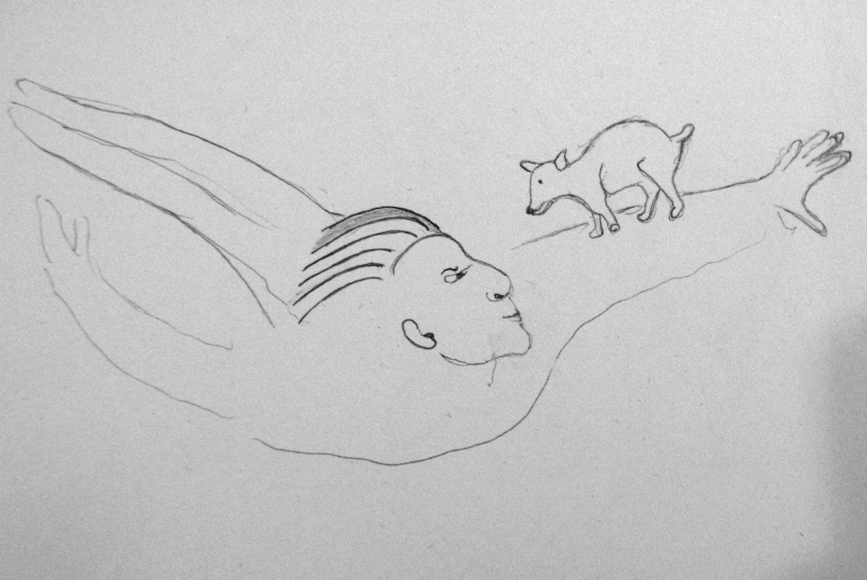 Flughund, Skizze, ca von 1990, A6